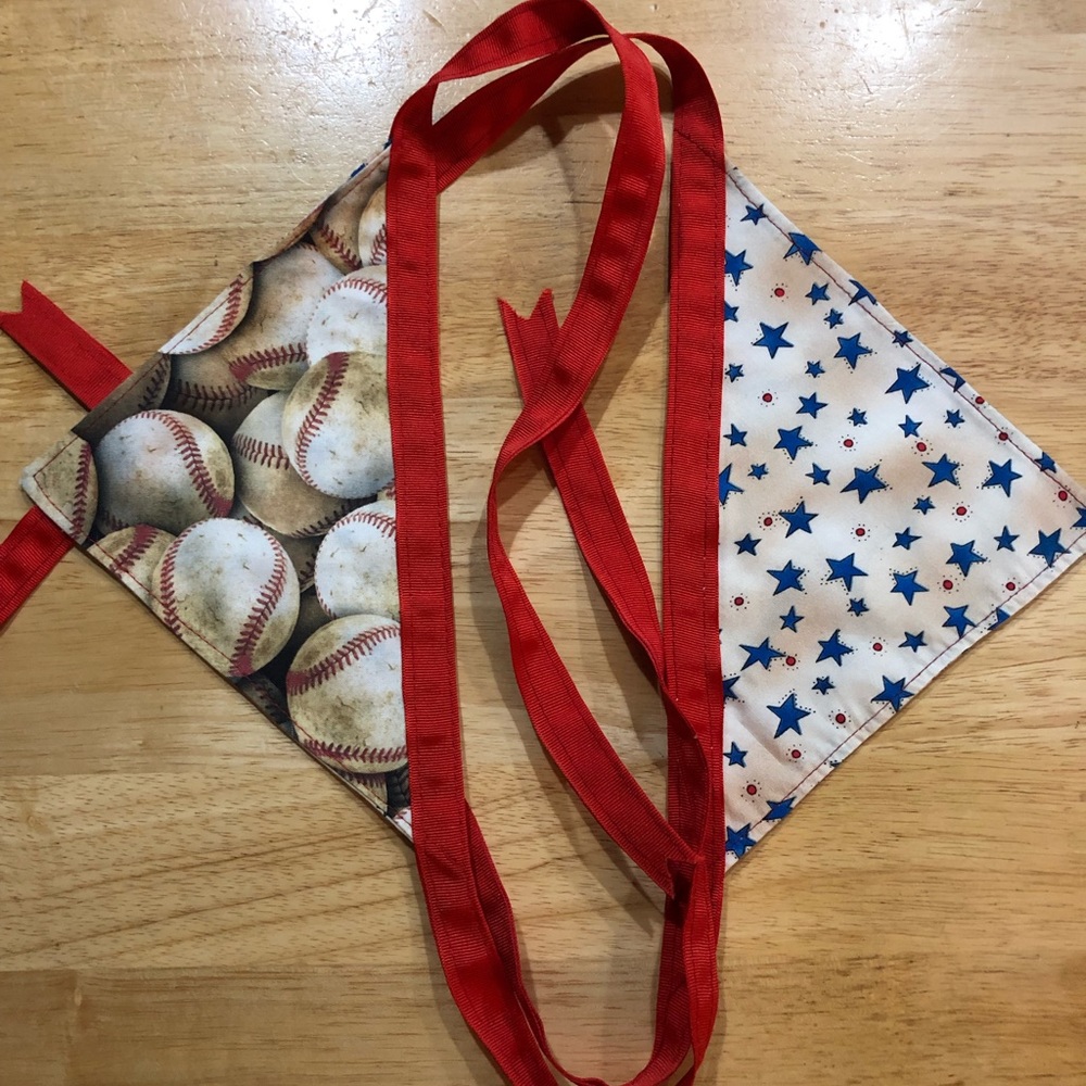 Handcrafted Reversible 10” Pet Bandanas Bundle of 2